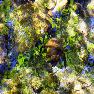 #34 Rocks under Water